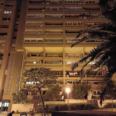 Eurit Shown In Detail *